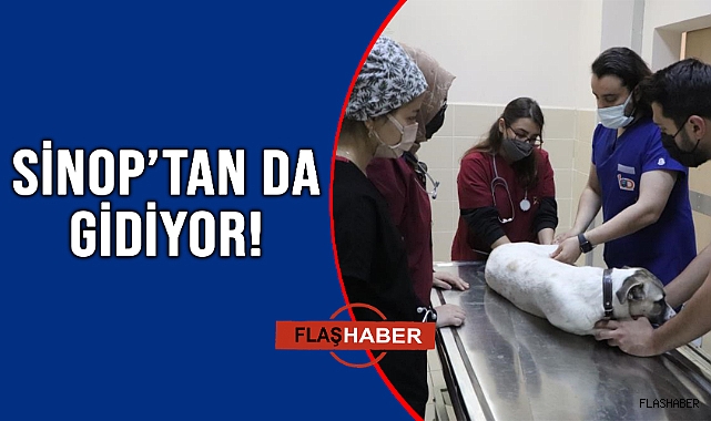TEDAVİ SAYISIYLA BÖLGEDE ETKİN ROL OYNUYOR!