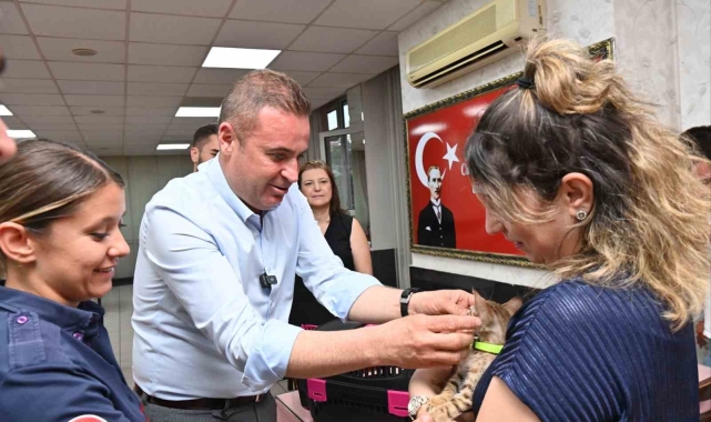 Tedavisi tamamlanan yavru kedi Biber sahibiyle buluştu