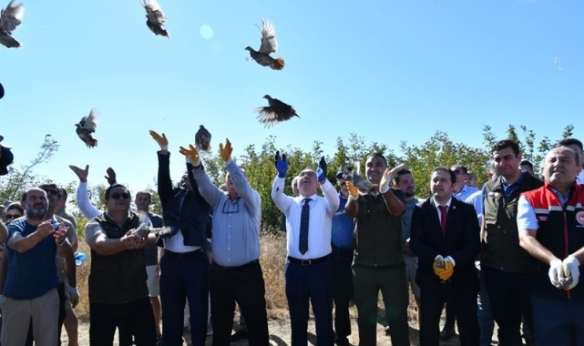 Tekirdağ'da 300 adet çil keklik doğaya salındı
