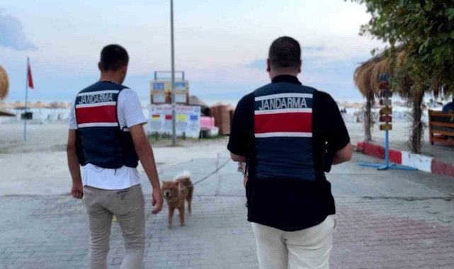 Tekirdağ'da Zıpkın-22 operasyonu