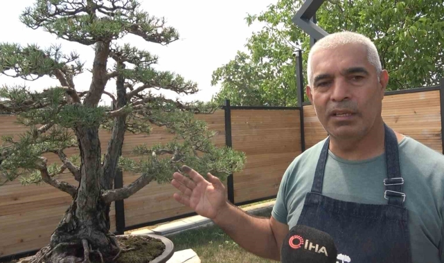 Toprak Dede'nin bonsai koleksiyonu müzede yaşatılıyor