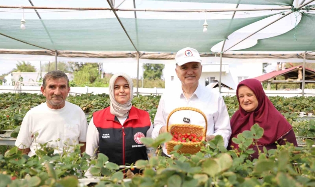Topraksız tarım ile çilek üretiyor
