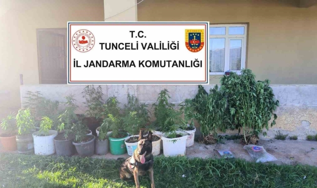 Tunceli'de uyuşturucu operasyonu: 2 tutuklama
