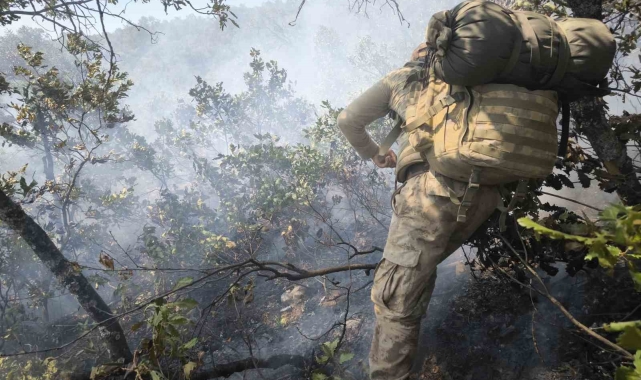 Tunceli'deki yangına, karadan ve havadan müdahale sürüyor