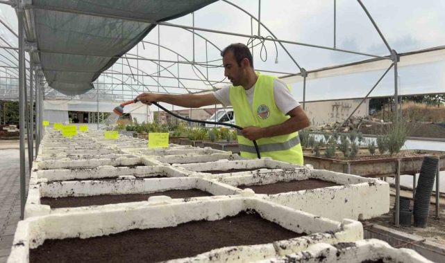 Turhal'ın yeşil alanları kendi üretimleriyle güzelleşiyor