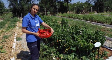 Türkiye'nin 81 iline ücretsiz dağıtılacak yerel tohum hazırlığı başladı