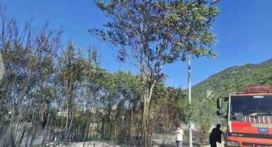 Uludağ eteklerindeki ormanlık alanda korkutan yangın