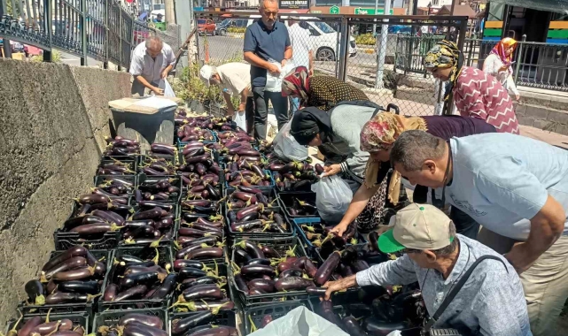 Üretim fazlası 5 ton patlıcanı yüzlerce kişiye bedava dağıttılar