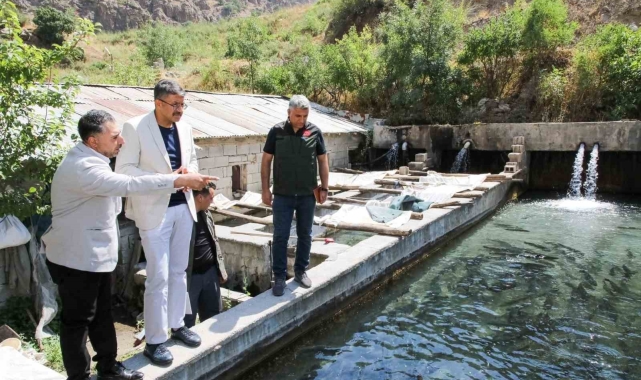 Vali Çelik, alabalık tesislerinde incelemelerde bulundu