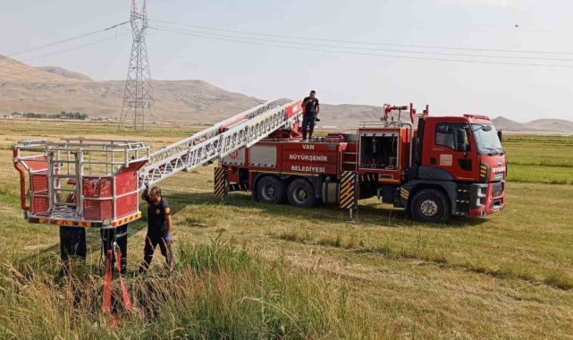 Van'da inek kurtarma operasyonu