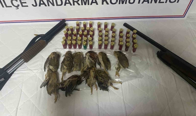 Van'da kaçak Bıldırcın avlayanlara 98 bin 106 lira ceza uygulandı