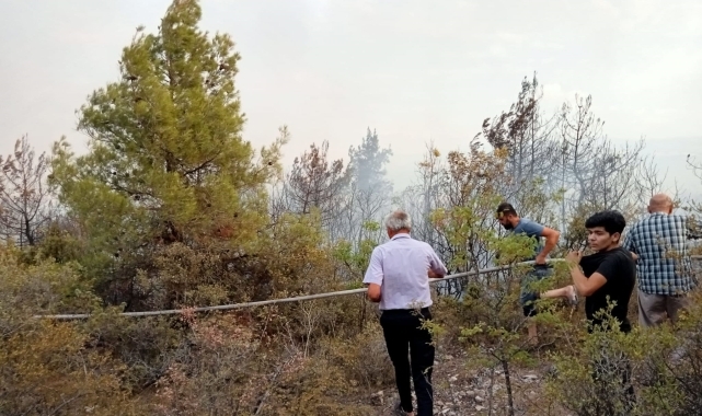 Vezirköprü'de örtü yangını