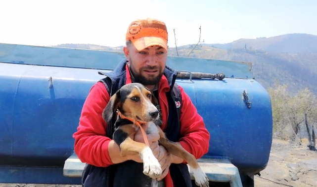 Yangından kurtulan köpeğine sarılarak ağladı