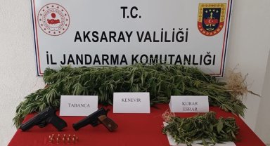 Yasa dışı kenevir üretimine jandarma darbesi