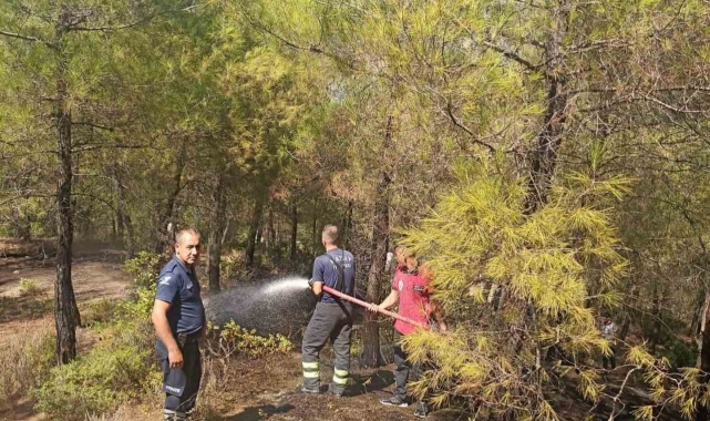 Yayladağı'nda örtü yangını