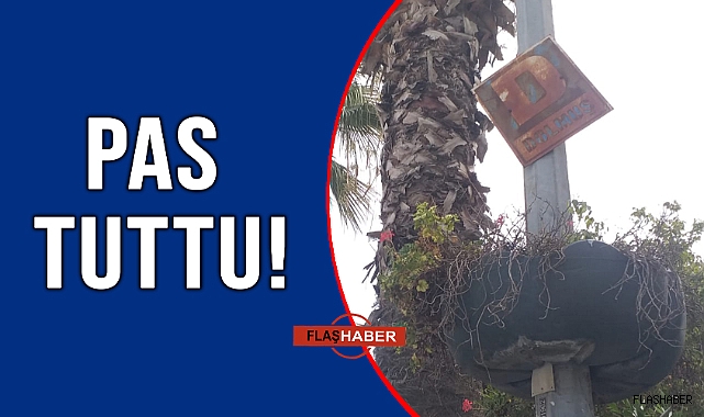 YENİLENMESİ GEREKİYOR!