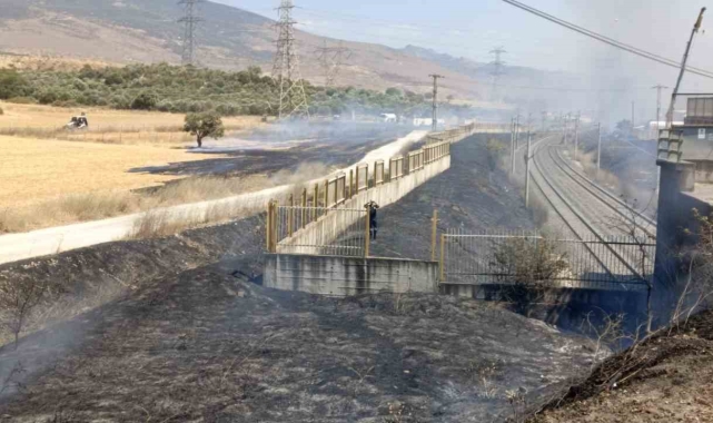 Yol kenarına atılan sigara izmariti yangına sebep oldu