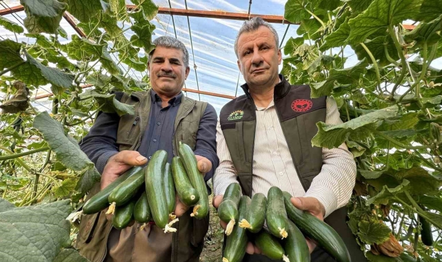 Yüksekova&#039;da seracılık gelişiyor