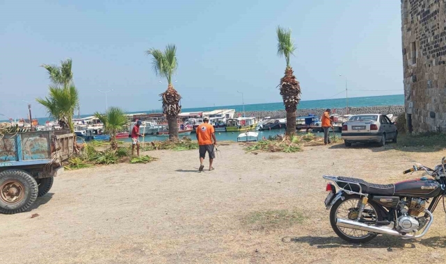 Yumurtalık'ta adım adım temizlik