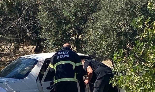 Zeytinliğe uçan otomobildeki 2 kişi yaralandı