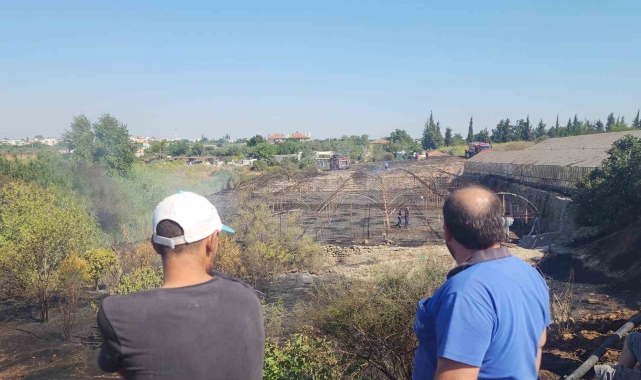 Zeytinlikte çıkan yangın evlere ulaşmadan söndürüldü