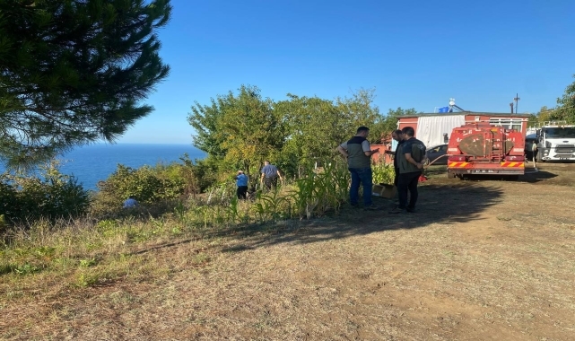 Zonguldak'ta fındık bahçesinden ormanlık alana sıçrayan yangın söndürüldü