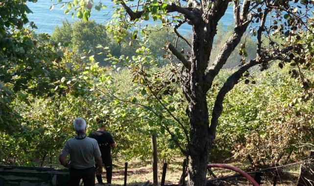 Zonguldak'ta fındık bahçesinde çıkan yangın araziye sıçradı