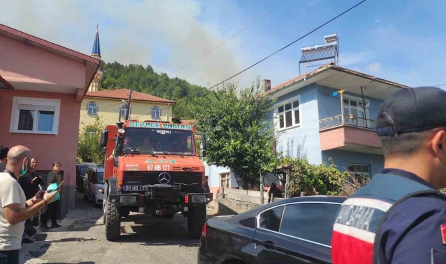 Zonguldak'ta orman yangını
