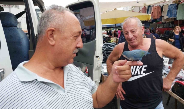 2 yıldır çarşı pazar omuzunda Sevda Papağanı ile geziyor