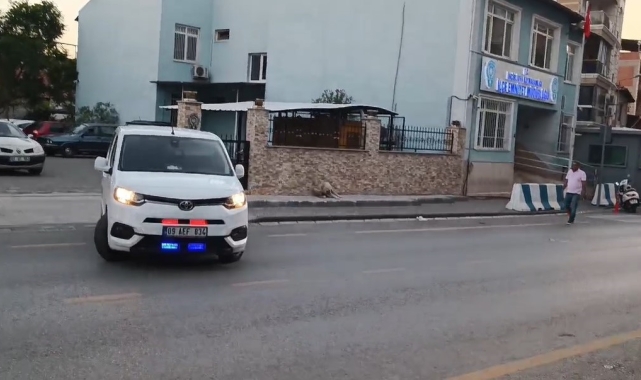 Acarlar Polisi, kaçakçılığa geçit vermedi
