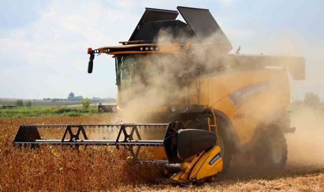 Adana'da soya hasadı başladı