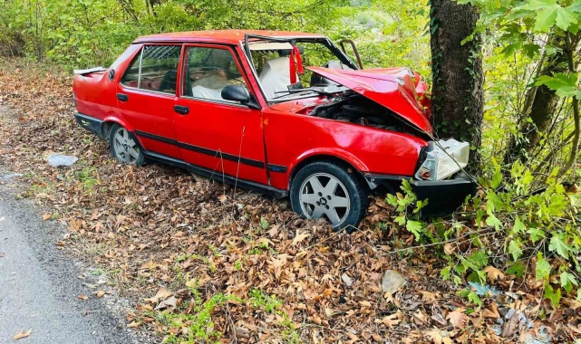Ağaca çarpan otomobildeki 2 kişi yaralandı