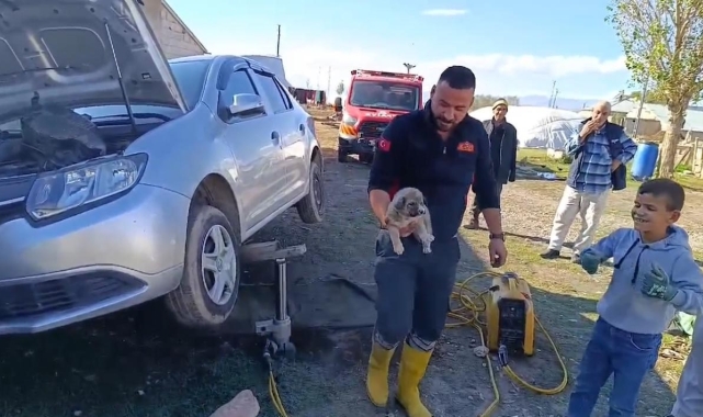 Ağrı'da araçta sıkışan yavru köpeği itfaiye ekibi kurtardı