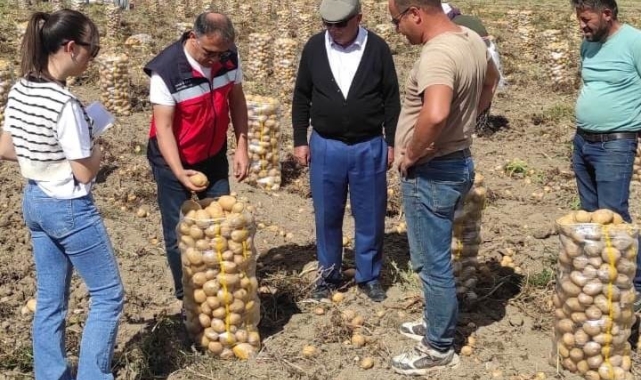 Altıntaş'ta patates ekiliş ve hasat kontrolleri