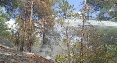 Amasya'da çıkan orman yangını söndürüldü