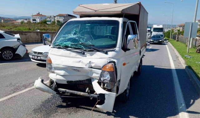 Ana yola çıkan büyükbaş hayvan kazaya neden oldu: 1 yaralı