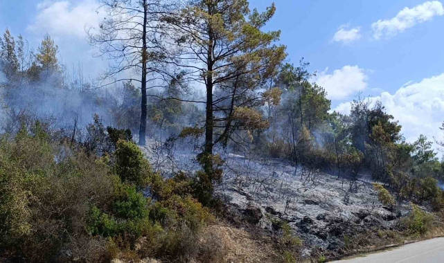 Antalya'da tarım arazisi yandı, 3 sera zarar gördü
