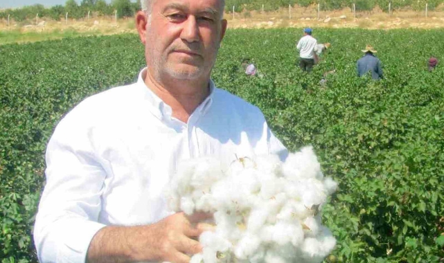 Araban Çukobirlik, 2024 yılı pamuk fiyatını açıkladı