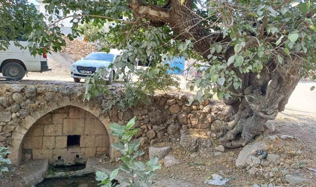 Araban'daki Roma dönemine ait tarihi çeşmeler kurtarılmayı bekliyor