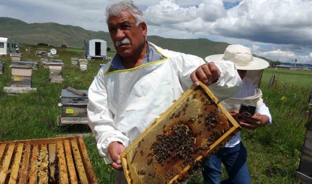 Ardahan Arıcılar Birliği'nden tüketicilere ucuz bal uyarısı