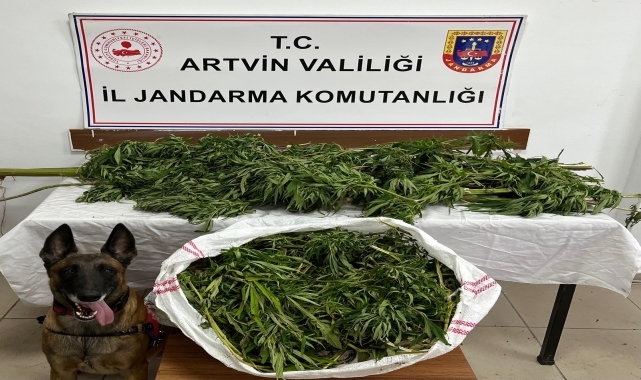 Artvin'de evlerinde uyuşturucu ele geçirilen 2 zanlı tutuklandı