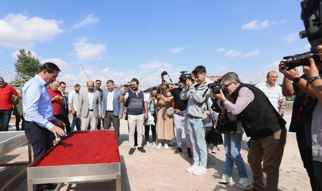 Atadan dedeye, dededen toruna en kıymetli miras: Ata Tohumu