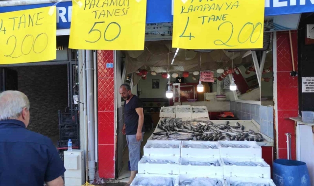 Av yasağı bitti tezgahlar palamutla doldu