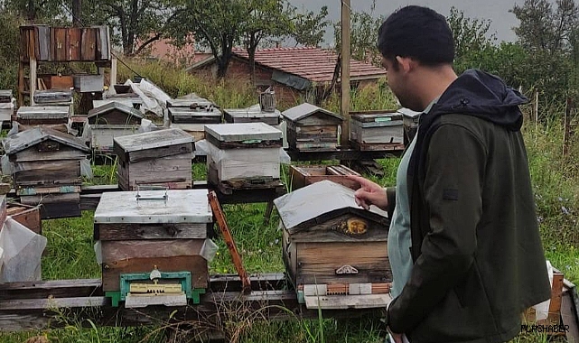 AYANCIK'TA ARICILARA DESTEK ÇAĞRISI!