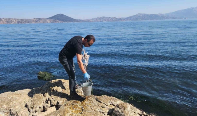 Aydın'da su ürünlerinin korunması için numuneler alındı