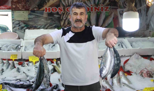 Balıkçı tezgahları renklendi