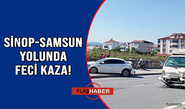 BAŞIBOŞ HAYVAN KAZAYA NEDEN OLDU!