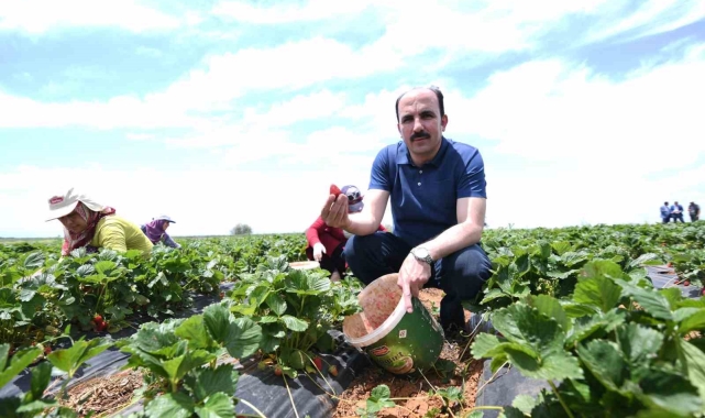 Başkan Altay: "Hüyük çileği AB tescili alan Konya'mızın ilk ürünü oldu, hayırlı olsun"