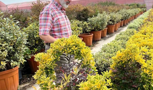 Başkan Çolakbayrakdar, &quot;Şehrimizin yeşil dokusunu hem çeşitlendiriyor hem genişletiyoruz&quot;