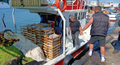 Batı Karadeniz'de avlanan 50 tekneden 10'u balıkla dönüyor
